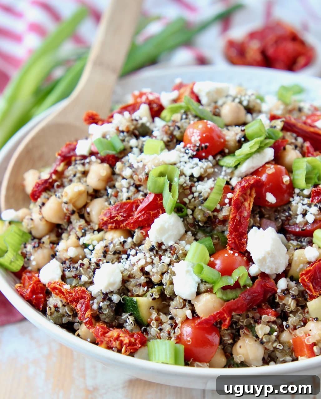 Quinoa salad in bowl with sun dried tomatoes, feta cheese and green onions