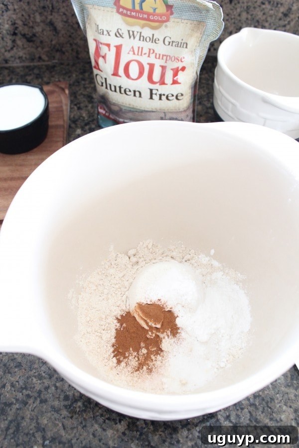 Combining dry ingredients for Gluten Free Waffle Recipe