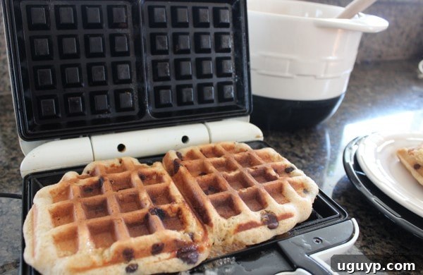 Cooking Gluten Free S'Mores Waffles in a waffle iron