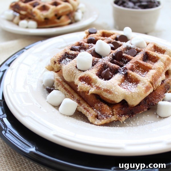 Freshly cooked S'mores Waffles ready to eat