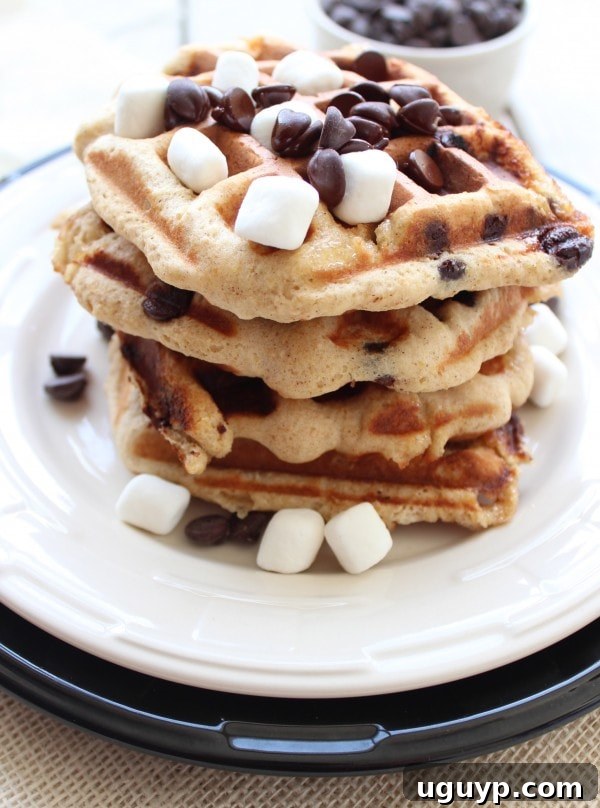 Close-up of fluffy Smores Waffles with melted chocolate and toasted marshmallows