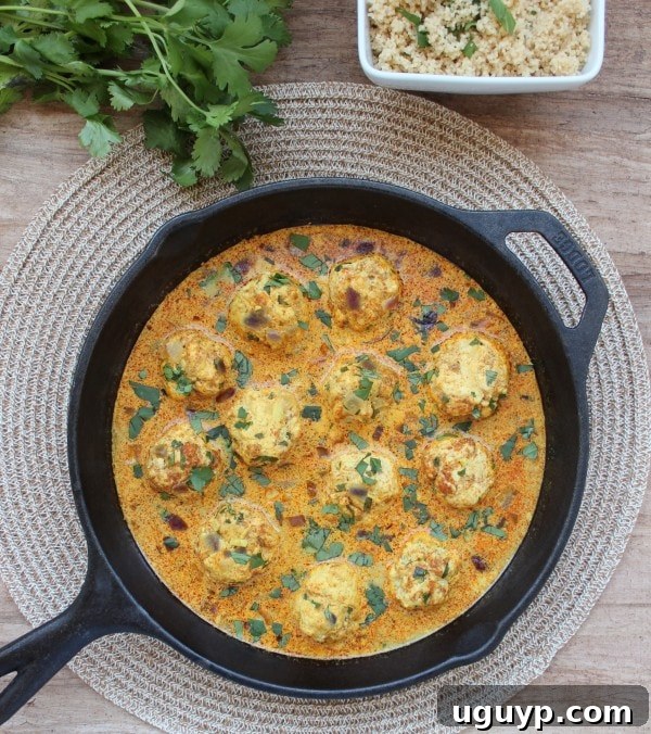 Flavorful Chicken Curry Meatballs with Indian Coconut Vindaloo Sauce, garnished with fresh cilantro