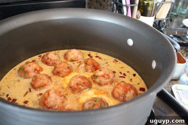 Chicken meatballs gently added to the simmering Indian Coconut Vindaloo Sauce