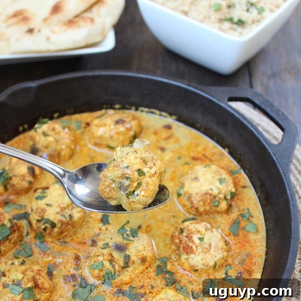 Close-up of tender Chicken Curry Meatballs generously coated in creamy Vindaloo Sauce