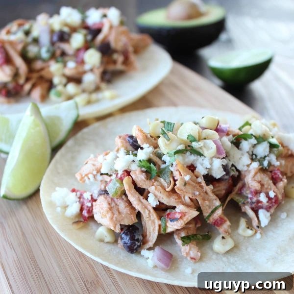 Mexican Chicken Salad Tacos