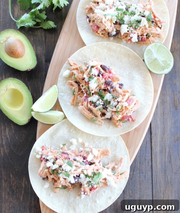 Chicken Salad Tacos