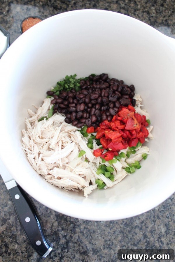 Mexican Chicken Salad Recipe