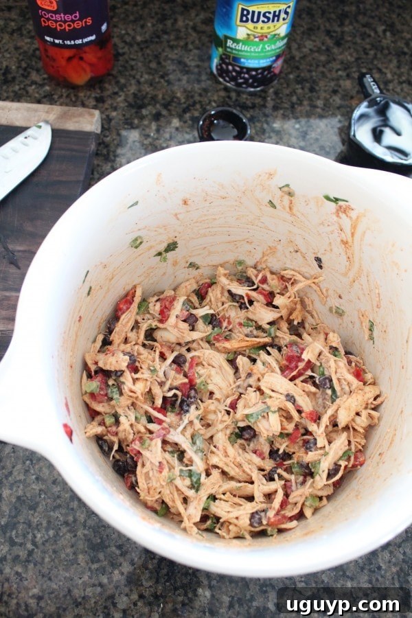 Mexican Chicken Salad Recipe