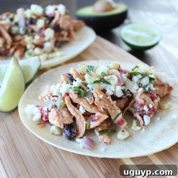 Gluten Free Chicken Salad Tacos