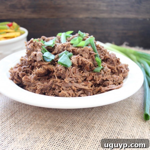 Shredded Slow Cooked Thai Beef in Crock Pot
