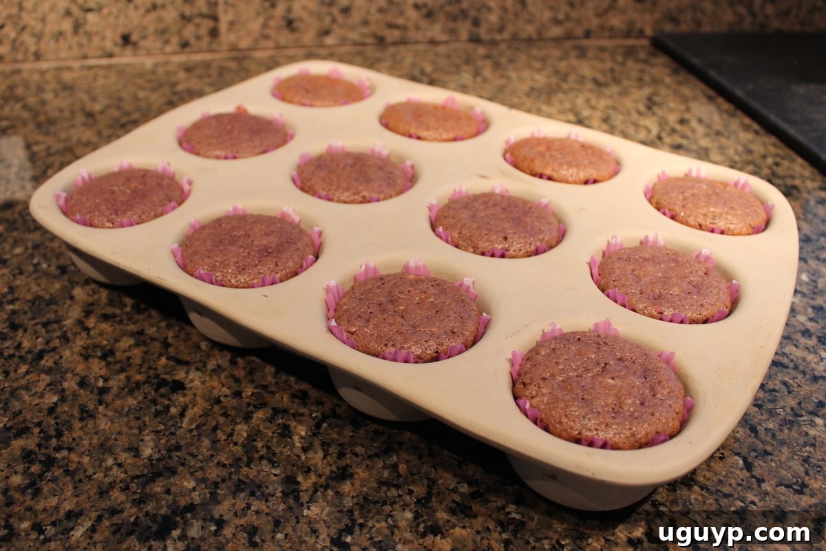 Freshly baked Strawberry Kiwi Cupcakes cooling in a muffin pan