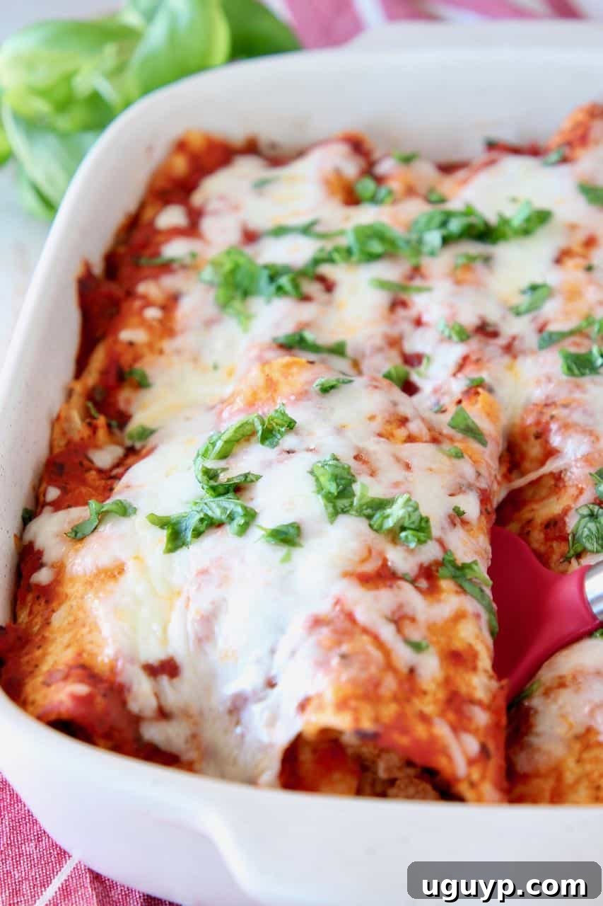 Italian Enchiladas in a casserole dish, topped with melted cheese
