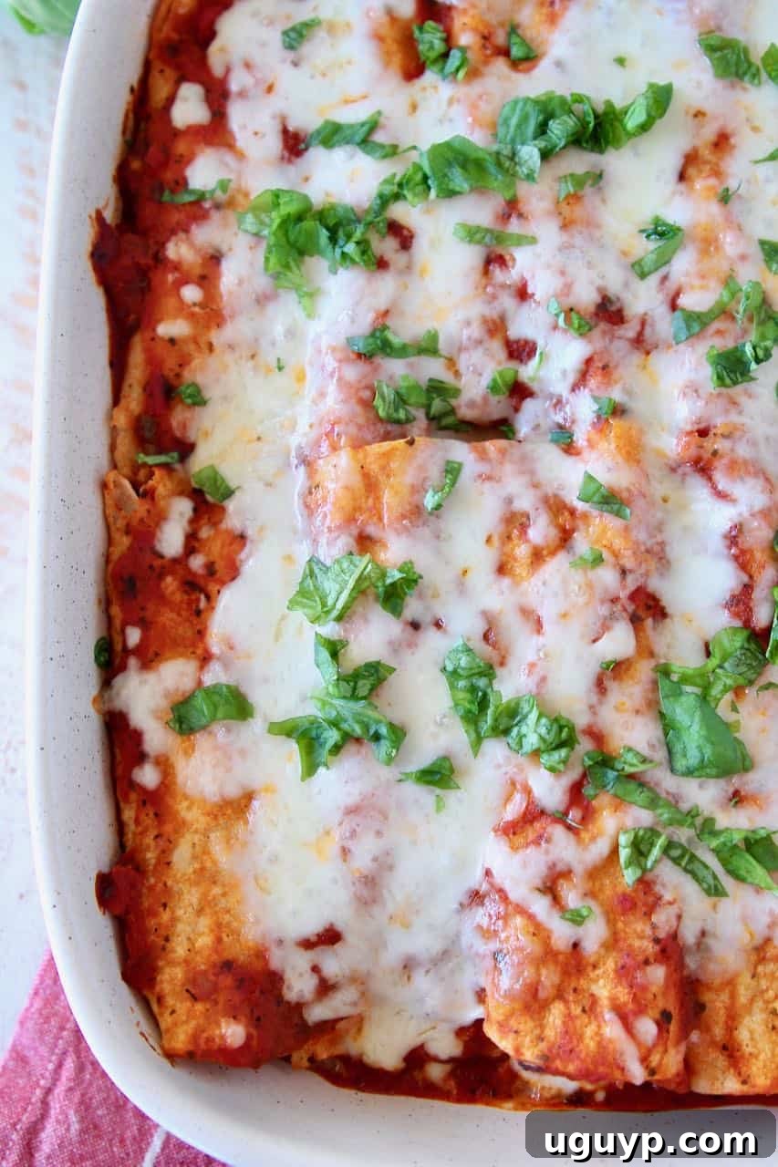 Overhead shot of Italian enchiladas in a baking dish, garnished with fresh basil