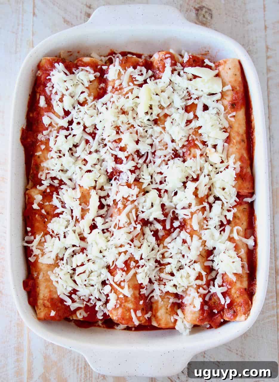 Italian enchiladas in a baking dish before baking, showing the rolled tortillas covered in sauce and cheese