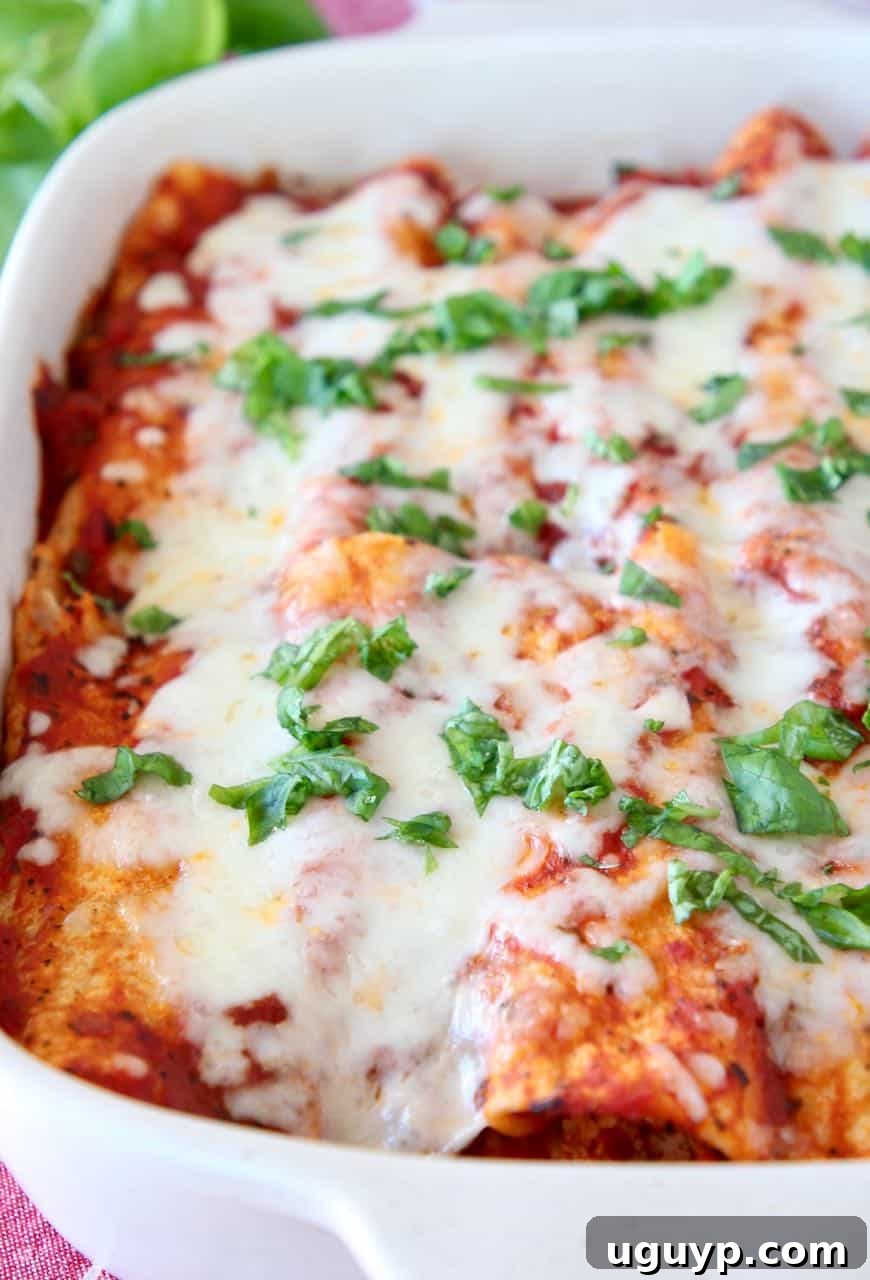 Italian enchiladas covered in melted mozzarella cheese and fresh basil, ready to serve