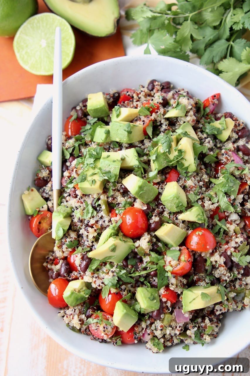An overhead shot showcasing a bowl of Mexican quinoa salad generously topped with vibrant diced tomatoes and creamy avocado, highlighting its fresh ingredients.