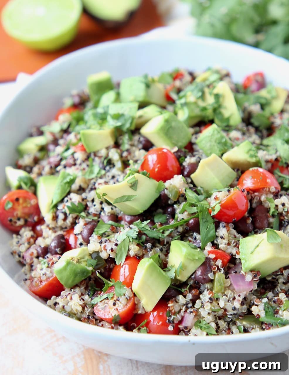 Close-up shot of Mexican quinoa salad in a white bowl, garnished with fresh cilantro and diced avocado, ready to be served.