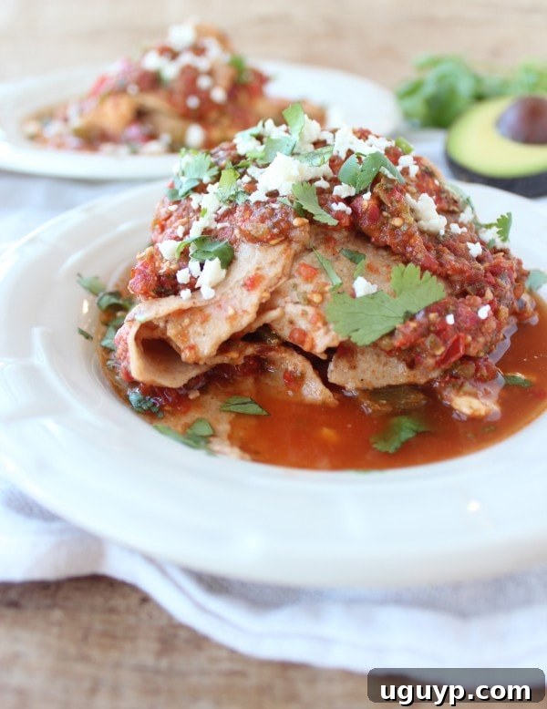 Delicious Crock Pot Chicken Fajita Tortilla Lasagna