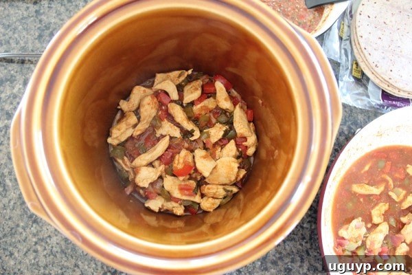 Chicken Fajita Mixture Layer