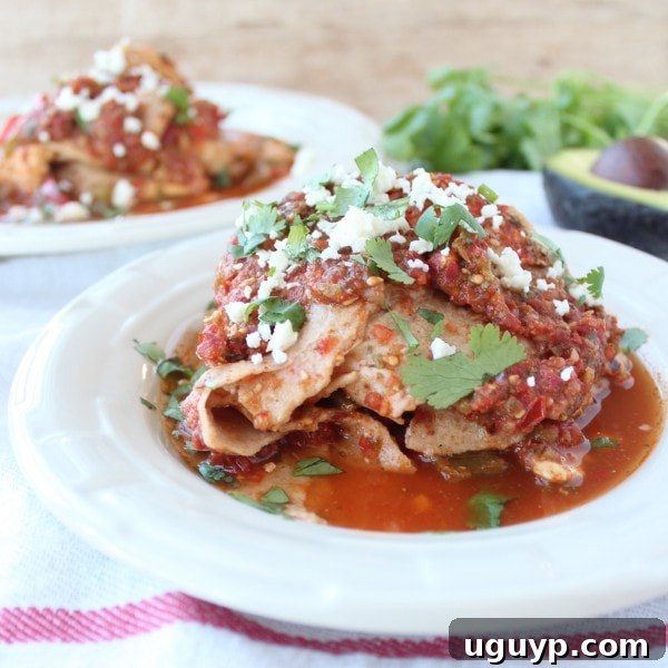 Cooked Crock Pot Chicken Fajita Tortilla Lasagna