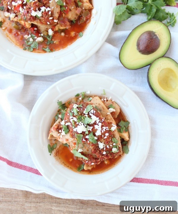 Ready-to-Serve Crock Pot Chicken Fajita Tortilla Lasagna