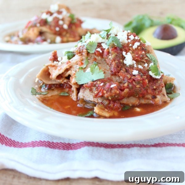 Crock Pot Chicken Fajita Tortilla Lasagna with Toppings