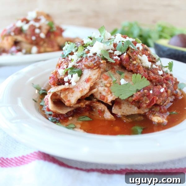 Close-up of Crock Pot Chicken Fajita Tortilla Lasagna
