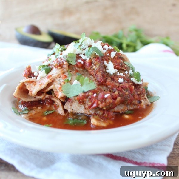 Crock Pot Chicken Fajita Lasagna with Fresh Ingredients