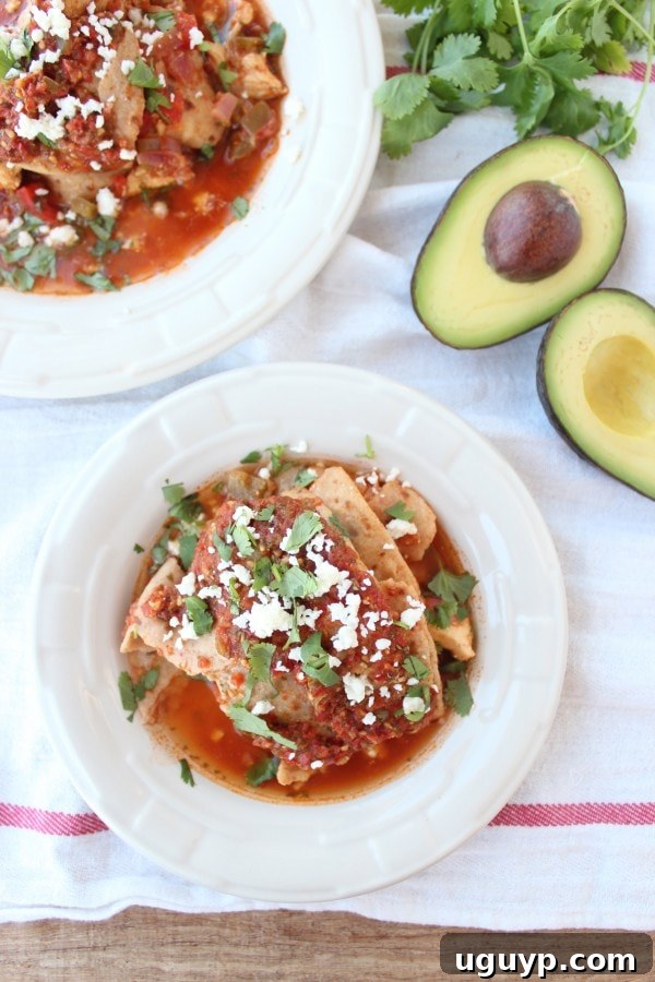 Layered Chicken Fajita Tortilla Lasagna in Slow Cooker