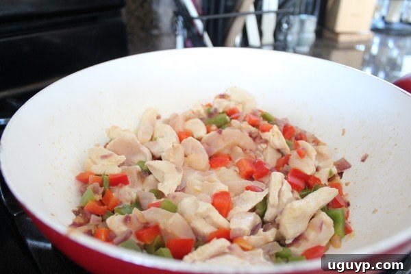 Seasoning the Chicken for Fajita Lasagna