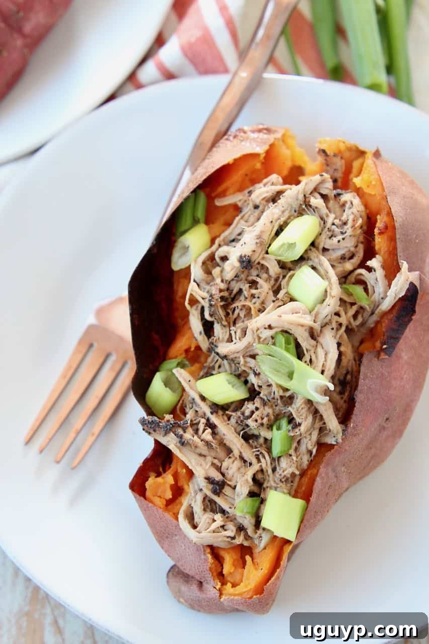 Flavorful pulled pork tenderloin served inside a roasted sweet potato on a clean white plate, garnished for freshness.