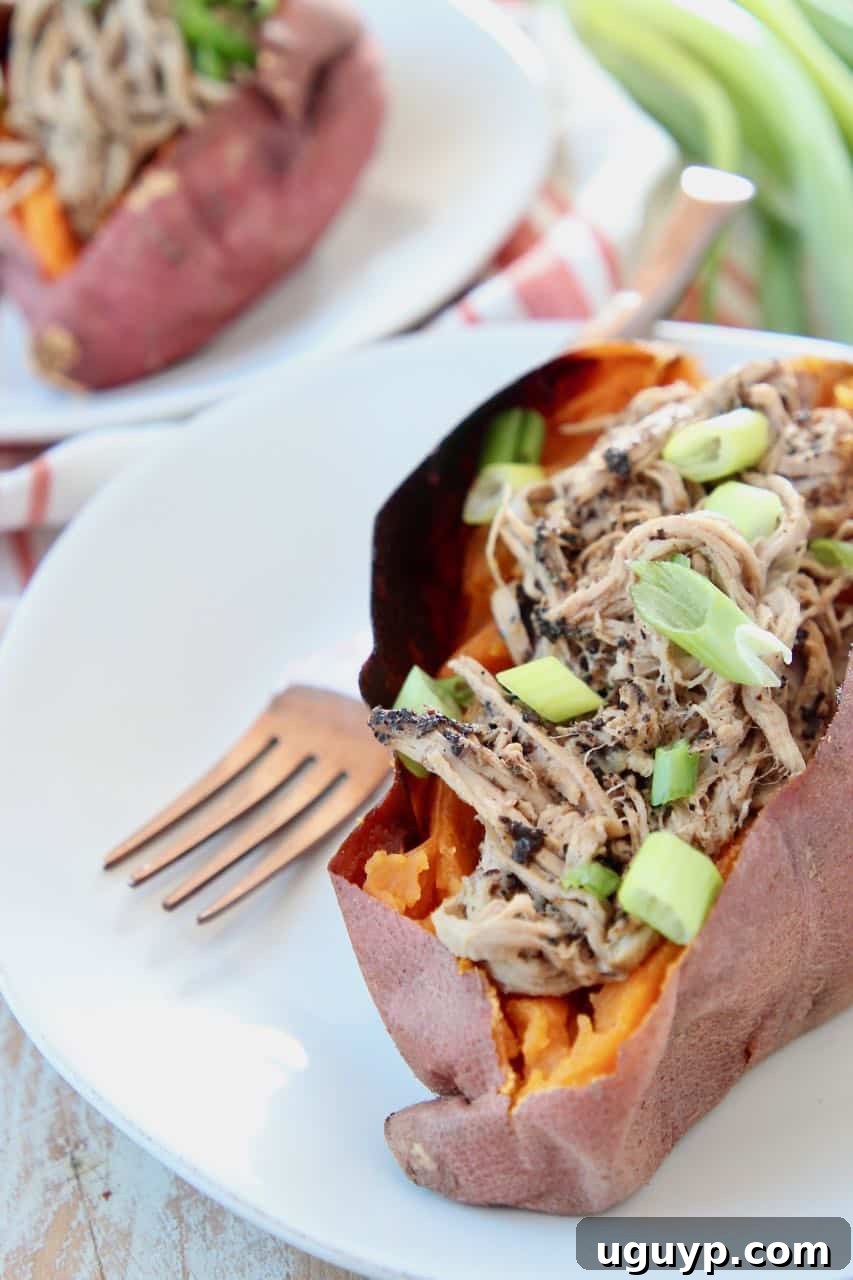 Expertly prepared pulled pork tenderloin, generously stuffed into a roasted sweet potato and garnished with fresh green onions, presented on a white plate.