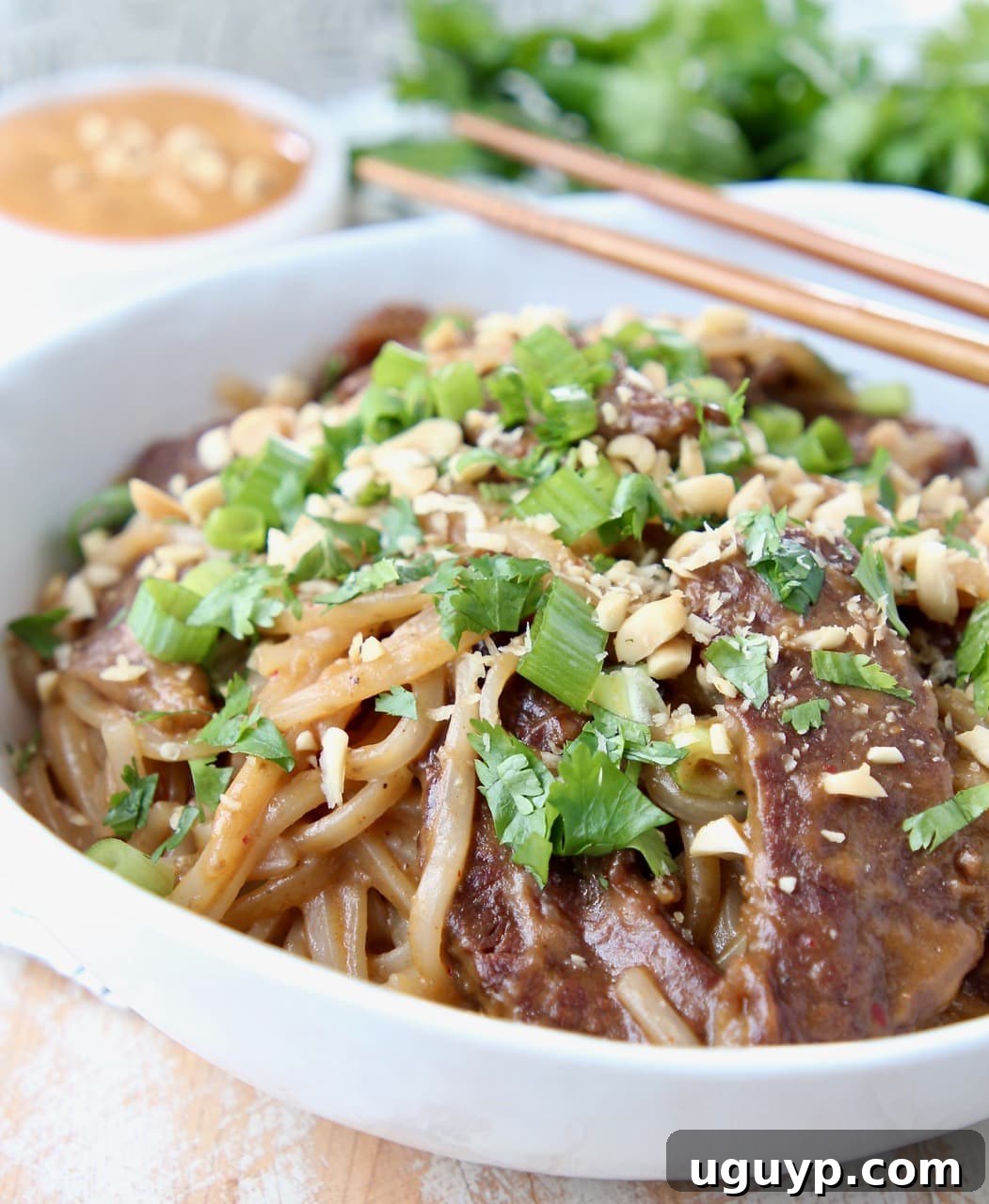 Sliced beef, noodles and sliced green onions in bowl with chopsticks on the side, ready for serving