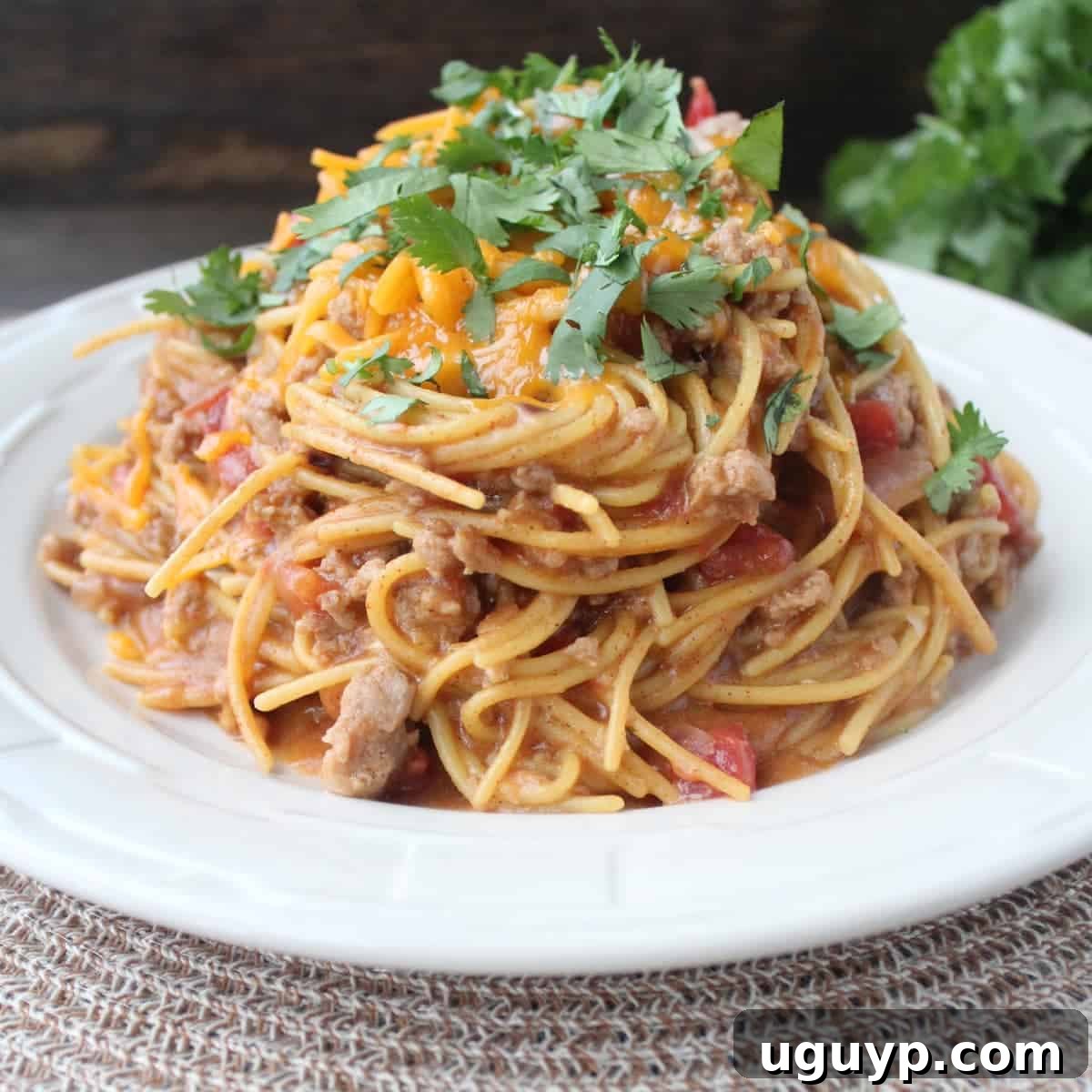A vibrant close-up of Gluten-Free Taco Spaghetti served in a bowl, topped with melted cheddar cheese and fresh cilantro.