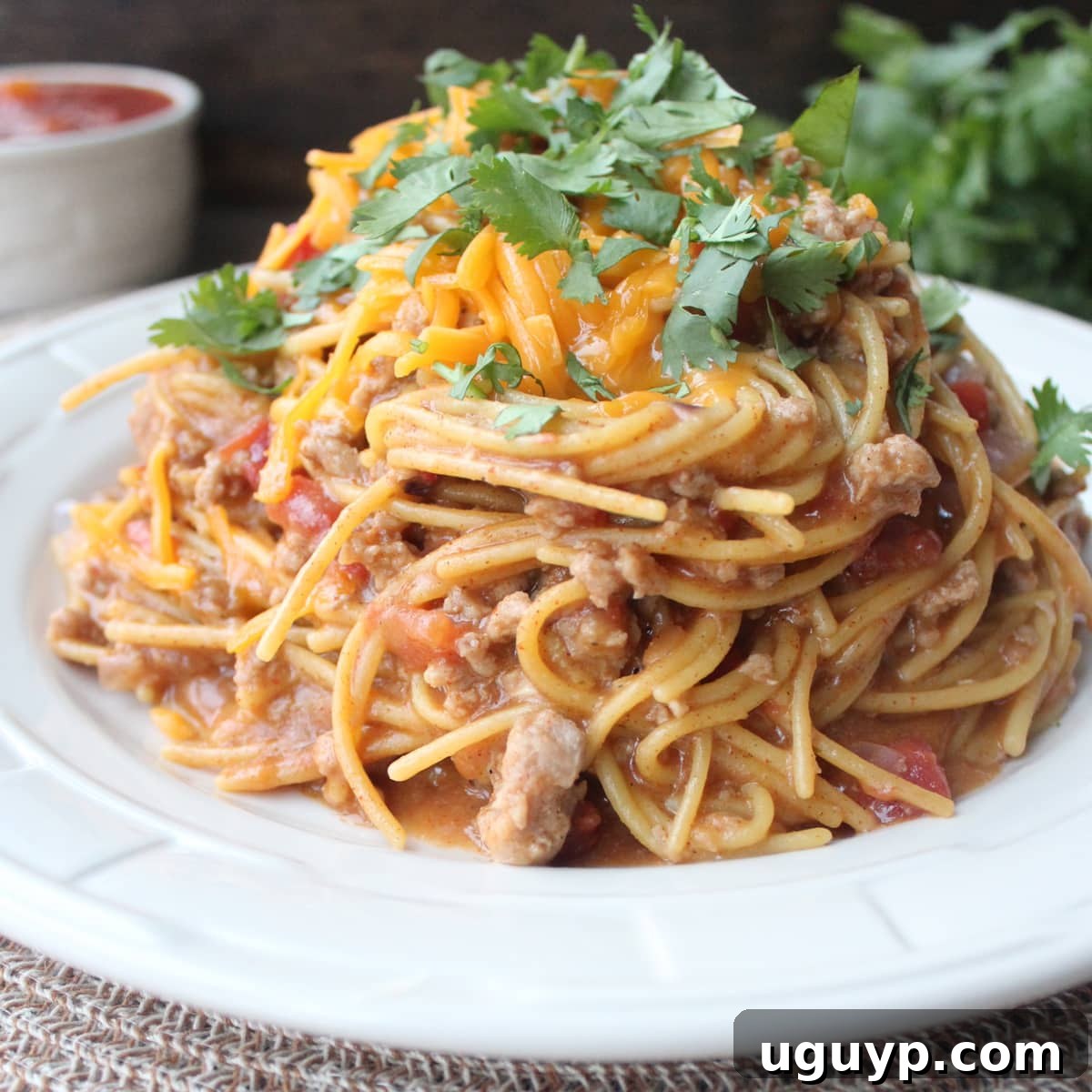A serving of hot Gluten-Free Taco Spaghetti, generously topped with freshly grated cheddar cheese, ready to be enjoyed.