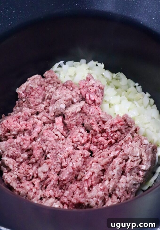 raw ground beef and diced onions in a pot
