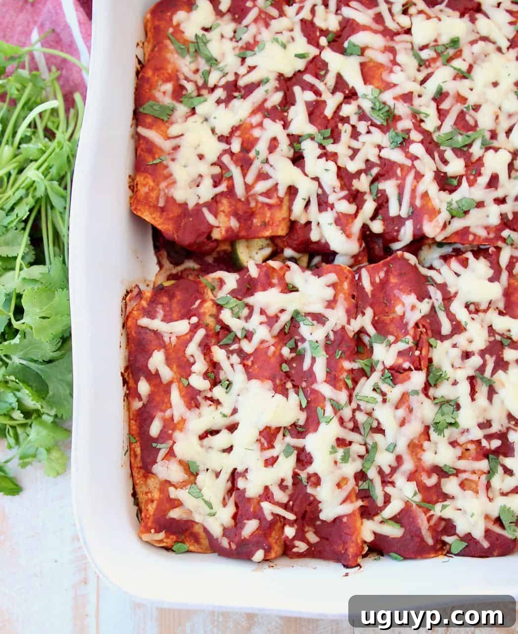 Enchiladas with red sauce in white casserole baking dish