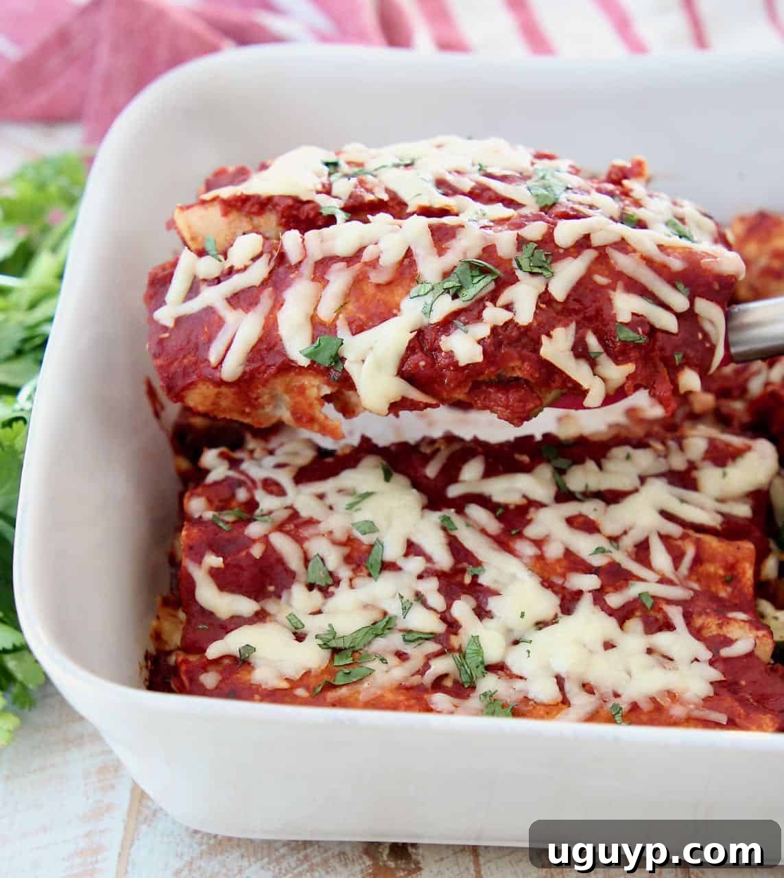 Enchiladas lifted out of casserole dish with spatula