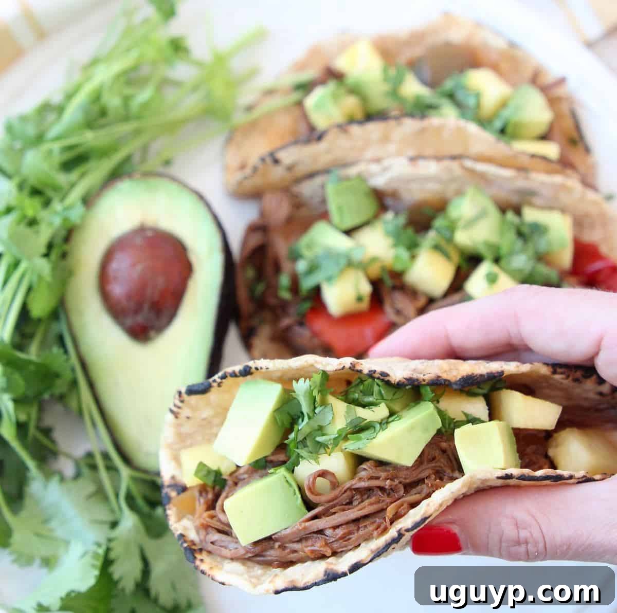 Hand holding taco with shredded tri tip, topped with diced avocado and pineapple