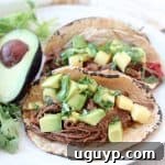 Shredded beef tacos in corn tortillas on plate with avocado and cilantro