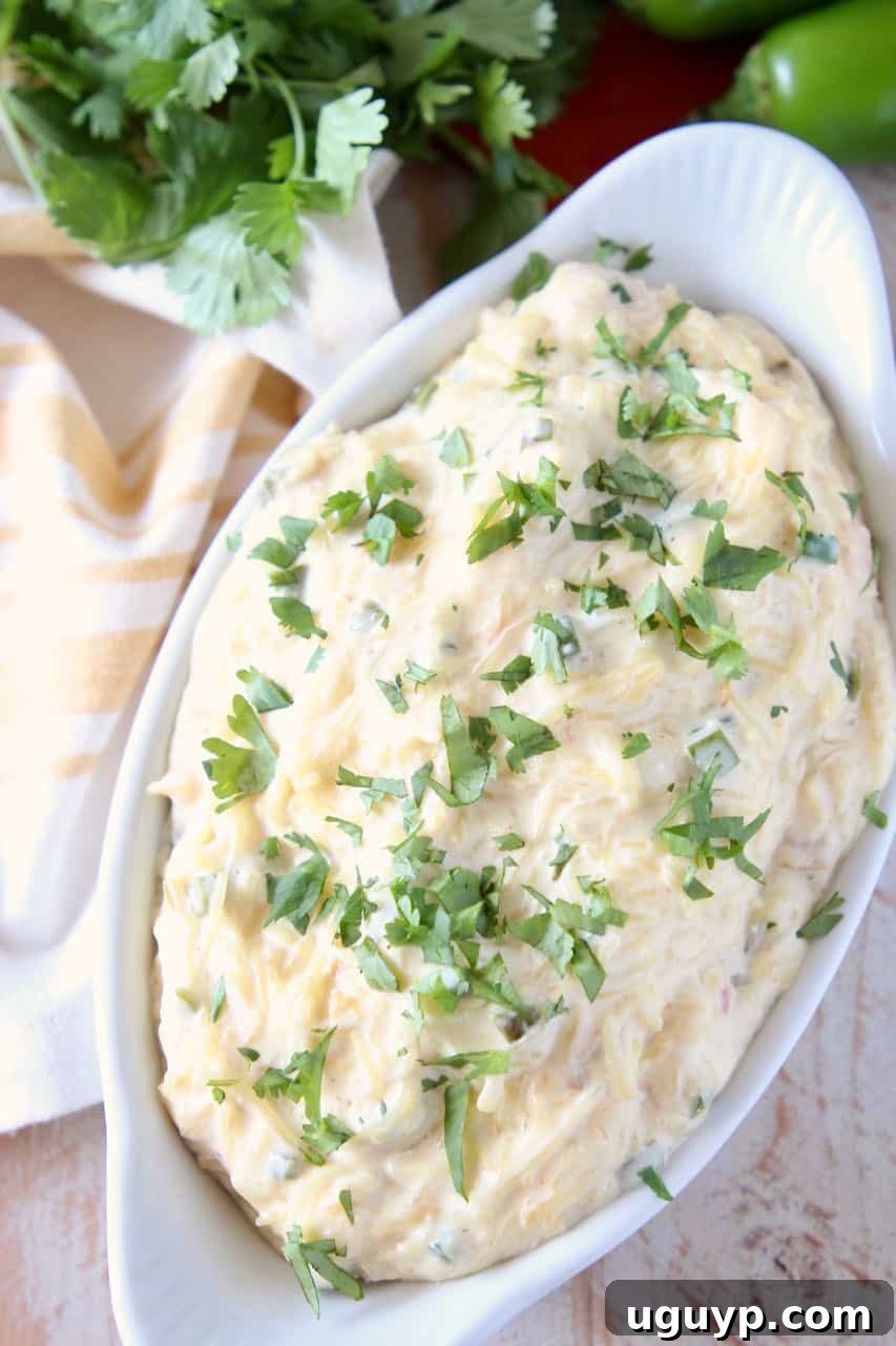 Cheesy spaghetti squash in bowl, topped with chopped cilantro, showcasing the vibrant colors and creamy texture.