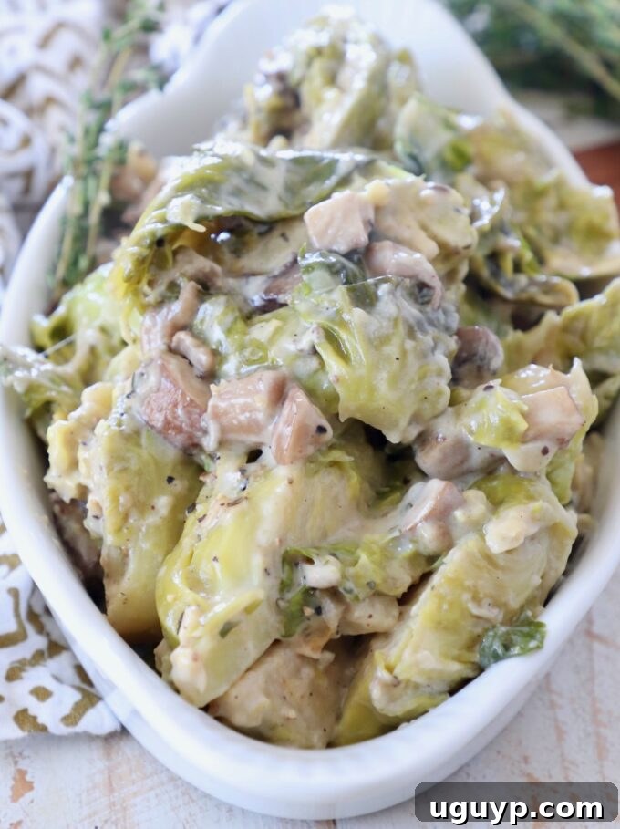A serving bowl filled with creamy, cooked brussels sprout casserole featuring a rich mushroom sauce, garnished with fresh herbs, ready to be enjoyed.