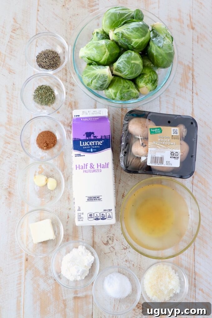 A flat lay photograph showcasing all the fresh ingredients required to make the healthy brussels sprout casserole, including whole brussels sprouts, mushrooms, herbs, and dairy.