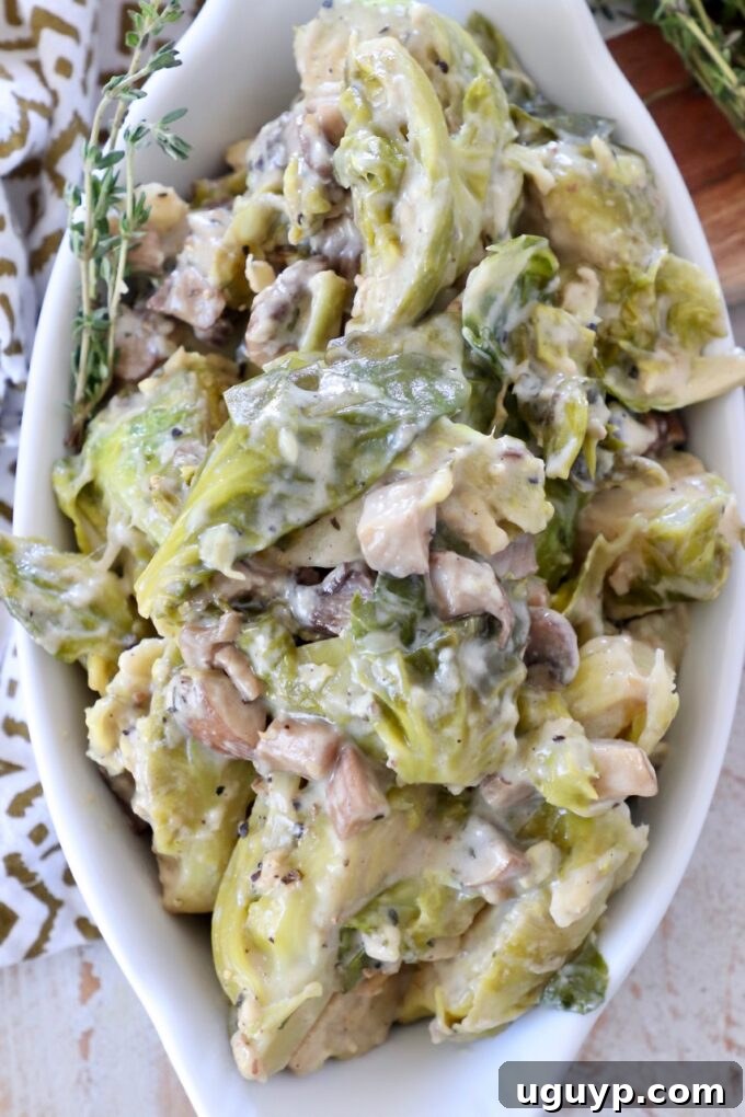 A close-up shot of a creamy mushroom brussel sprout casserole in a white baking dish, garnished with fresh thyme sprigs, showcasing its rich texture and appetizing appearance.
