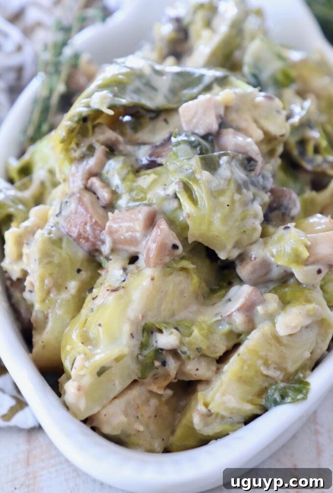A pristine white serving dish showcasing a generously portioned creamy baked brussels sprout casserole, ready to be served, highlighting its rich texture and golden top.
