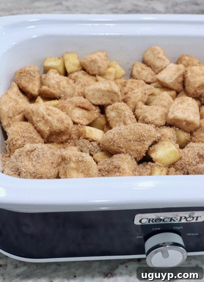 Cinnamon sugar-coated diced biscuit dough and apples layered in a slow cooker, ready for the pumpkin mixture.
