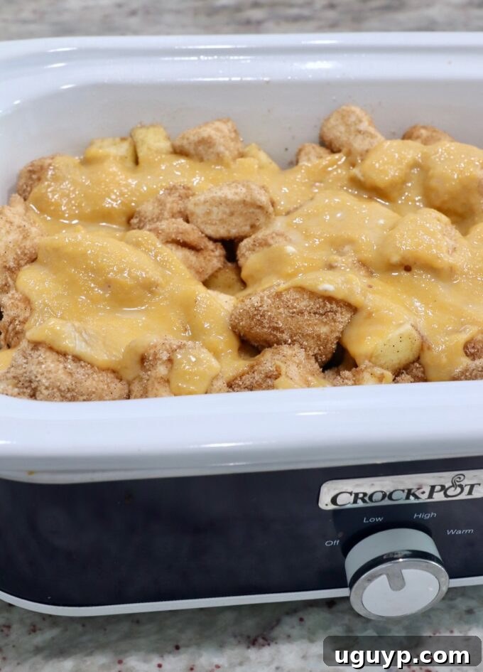 Pumpkin butter mixture poured over the biscuit and apple pieces in a slow cooker.