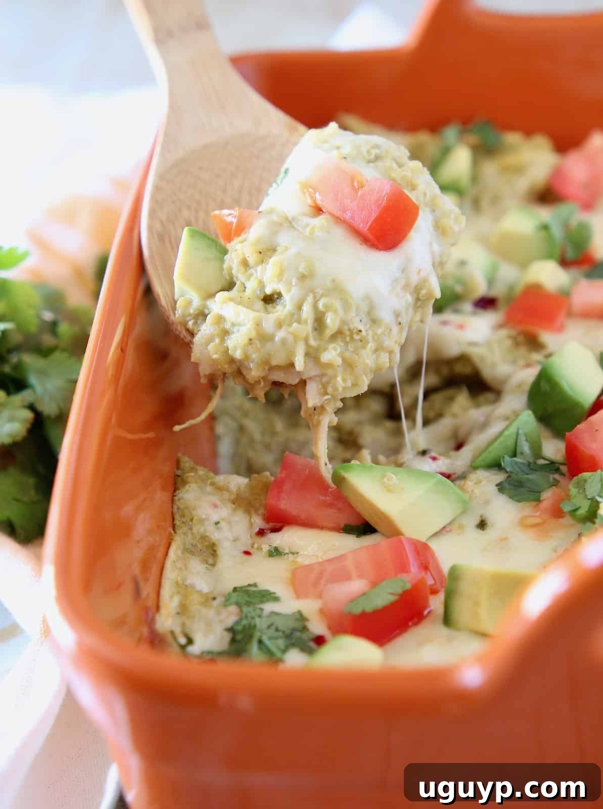 A wooden spoon serving a portion of quinoa chicken enchilada casserole from a dish, topped with melted pepper jack cheese and diced tomatoes.
