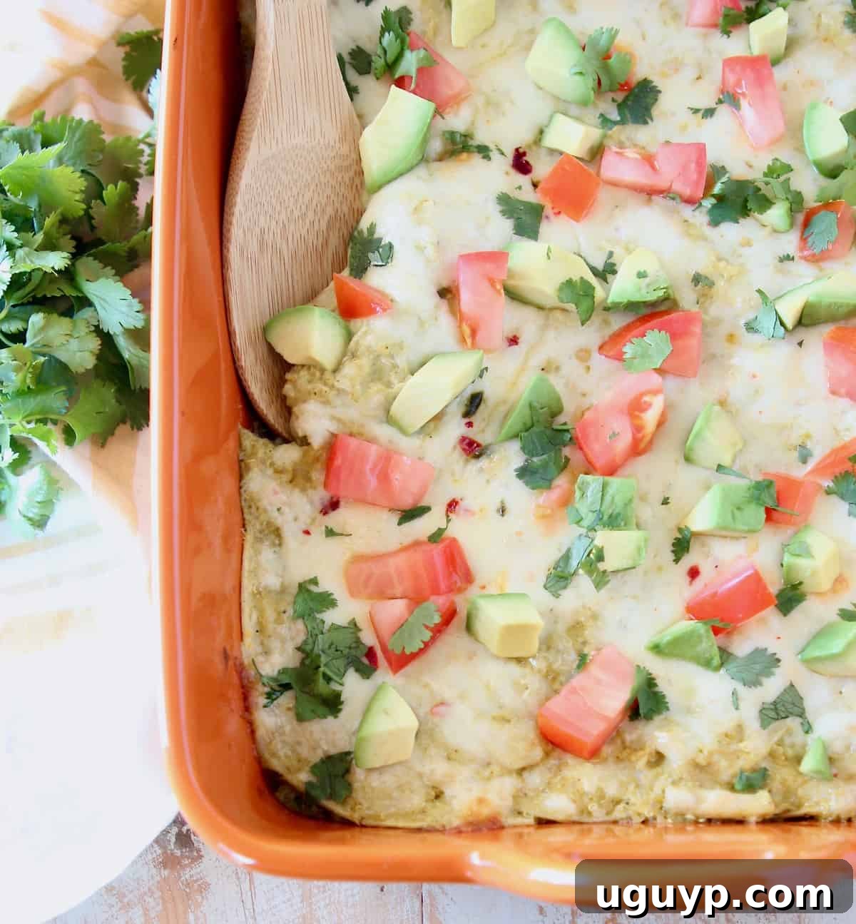 Individual serving of chicken enchilada casserole topped with fresh diced tomatoes and avocado slices, ready to be enjoyed.