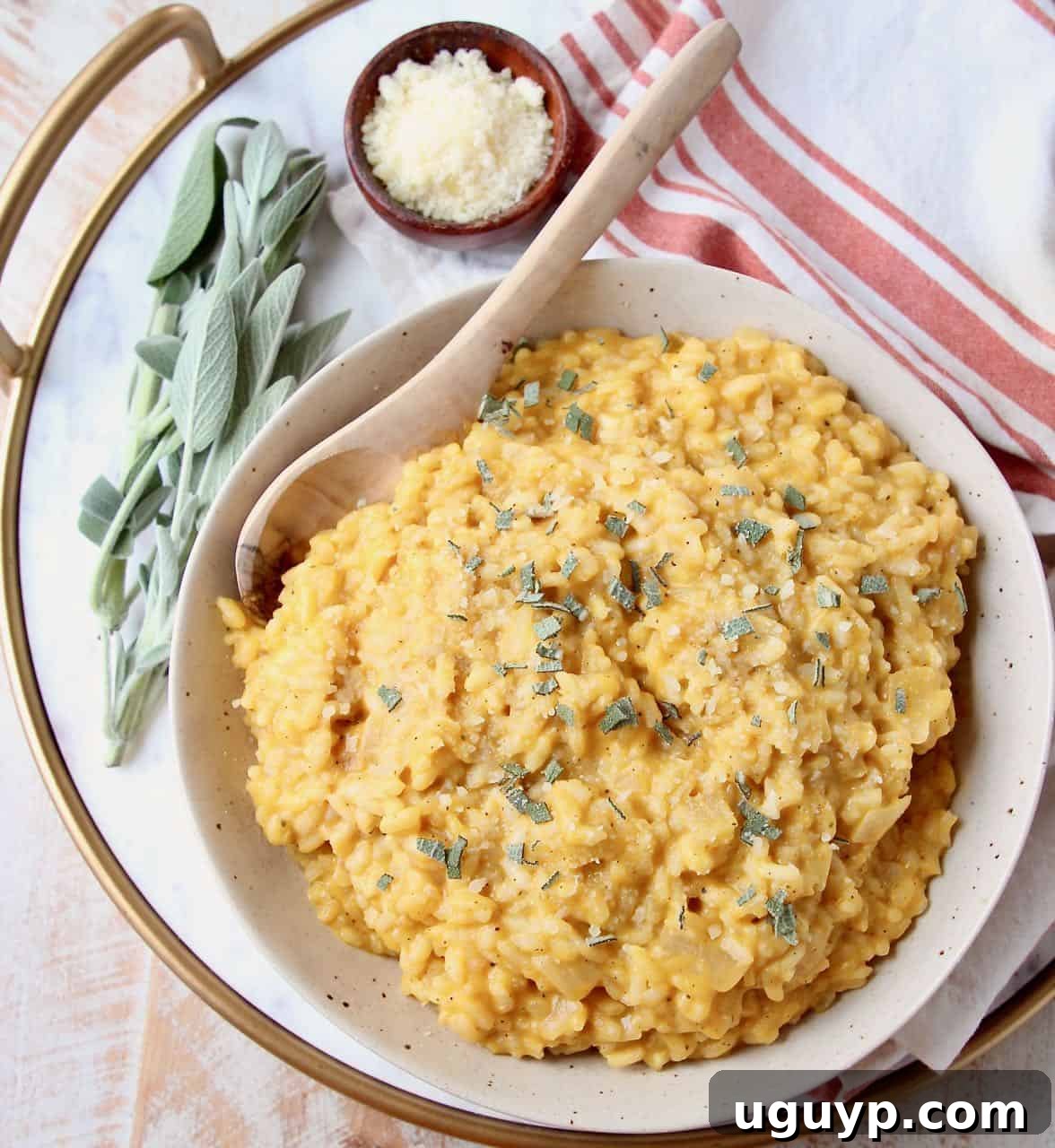Overhead image of butternut squash risotto in bowl with spoon, ready to be served